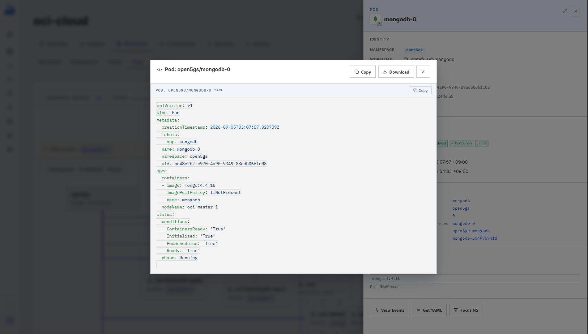 Reconstructed Kubernetes YAML shown in the read-only viewer.